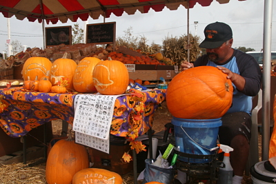 pumpkincarver