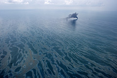 Oil was spilled into the Gulf of Mexico after the Deepwater Horizon explosion. Thursday's explosion did not cause a leak, but it did reignite fears about drilling. (Creative Commons) Oil was spilled into the Gulf of Mexico after the Deepwater Horizon explosion. Thursday's explosion did not cause a leak, but it did reignite fears about drilling. (Creative Commons)