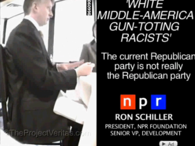 Ron Schiller's comments were somewhat distorted in video