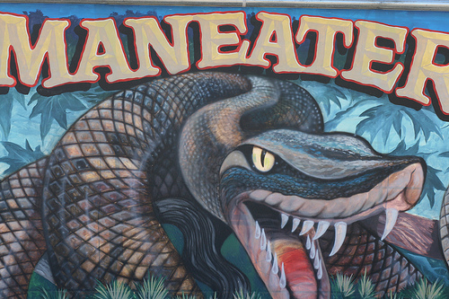 Maneater (Creative Commons) Maneater (Creative Commons)