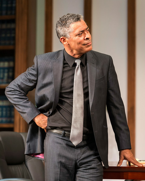 Dominic Hoffan as Henry Brown in 'Race.' Photo by Craig Schwartz. Dominic Hoffan as Henry Brown in 'Race.' Photo by Craig Schwartz.