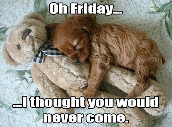 (@irvinecheryl / Twitpic) (@irvinecheryl / Twitpic)