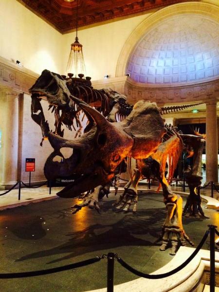 Take your learning outside the classroom at the Natural History Museum (Twitter/@anacortezx)