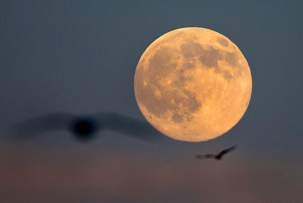 In case you missed it last night, make sure to look for the supermoon tonight (Boston Globe/Twitter)