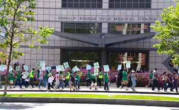 Protestors Outside of UCLA Medical Center, Sara Newman