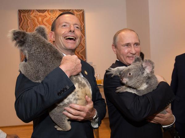 (Putin cuddles a koala with Australian prime minster Tony Abbott. / @CBSNews via Twitter)
