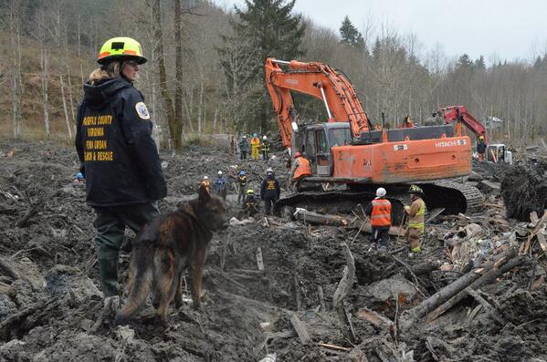 Search crews in Oso, Washington/via Twitter @DebraAlfarone