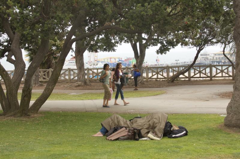 A homeless person rest on the grass near the Santa Monica pier. (Jay Galvin/Flickr)