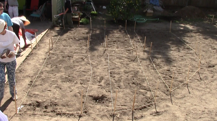 Mapping out the garden (Hyder, Neon Tommy)