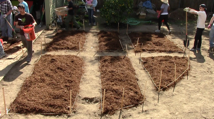 Adding compost to hold water (Hyder, Neon Tommy)