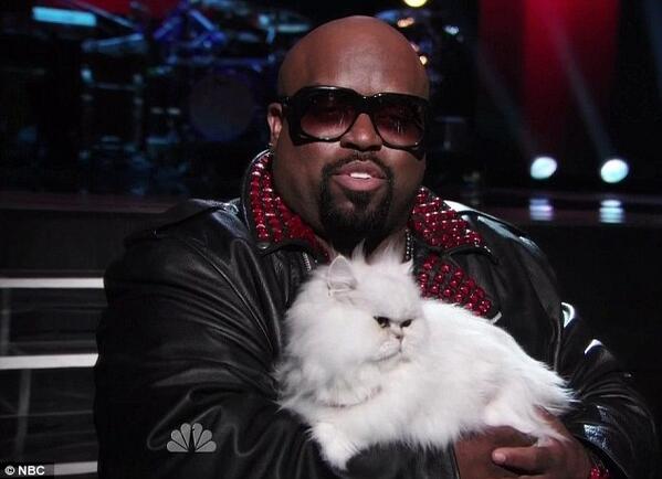 CeeLo with his cat on "The Voice" (Twitter @yidio)