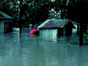 The aftermath of Hurricane Madeline, which hit South Central Texas in 1998 (Wikimedia Commons)