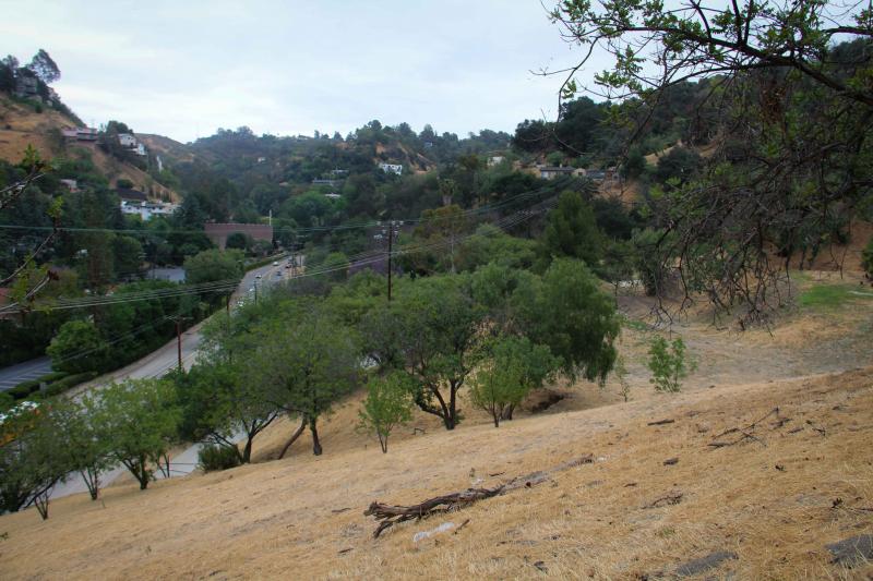 A view of the 5.5 acre vacant property owned by Harvard-Westlake, which plans to build on it a three-story parking garage with a field on top and a bridge that connects it to the main campus on the left. (Cameron Quon/neontommy)