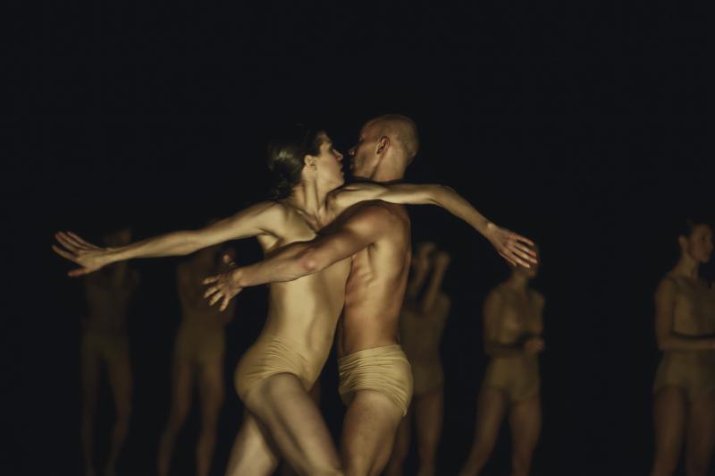 In Medhi Walerski’s “Chamber,” Nederlands Dans Theater is known for its athleticism. Photo by Rahi Rezvani In Medhi Walerski’s “Chamber,” Nederlands Dans Theater is known for its athleticism. Photo by Rahi Rezvani