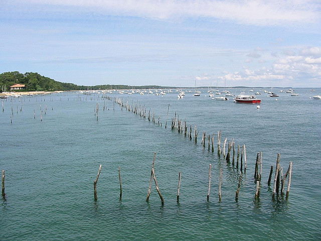 Oyster parks, somewhere near Cap-Ferret, Bassin d'Arcachon, France (Philippe Teuwen / Flickr)