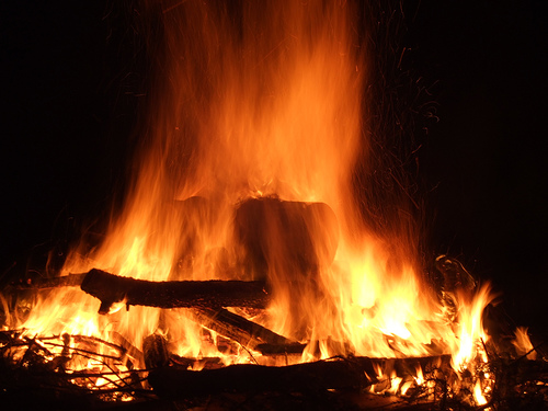 Some families get ready for the new year by burning the year's Christmas tree. (rockbadger/Flickr)