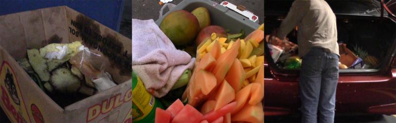 Fruit is kept in cars in parking lots. (Jenna Pittaway / Neon Tommy)