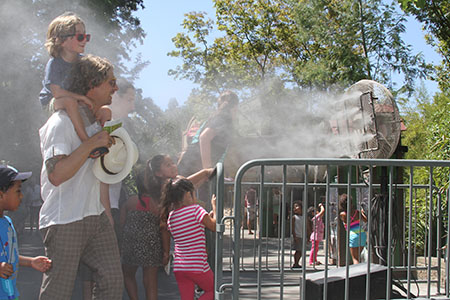 Zoo-goers cool down at one of the events "Cool Zones" (Photo by Kaitlyn Mullin)