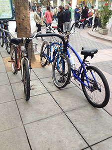 Will bikes be the most popular mode of transportation soon? (Photo by Kaitlyn Mullin)