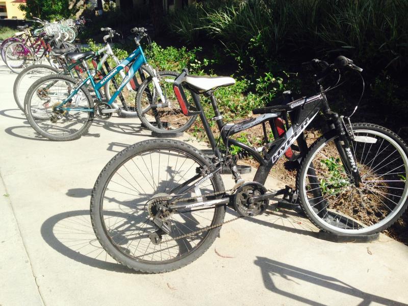 Santa Monica streets will soon be more bicycle-friendly (Kaitlyn Mullin/Neon Tommy)