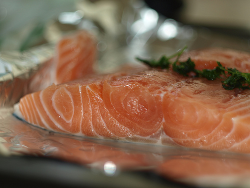 Fuel your brain with fish (Steven Zolneczko / Flickr Creative Commons).