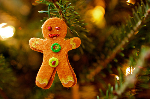Christmas wouldn't be the same without gingerbread (Michael Bentley / Flickr Creative Commons). 
