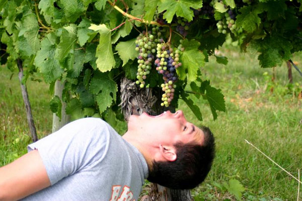 Grape eating in Spain (Ryanseacrest.com)