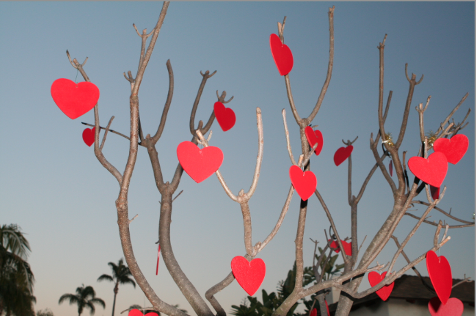 Valentine's Day Tree (Creative Commons)