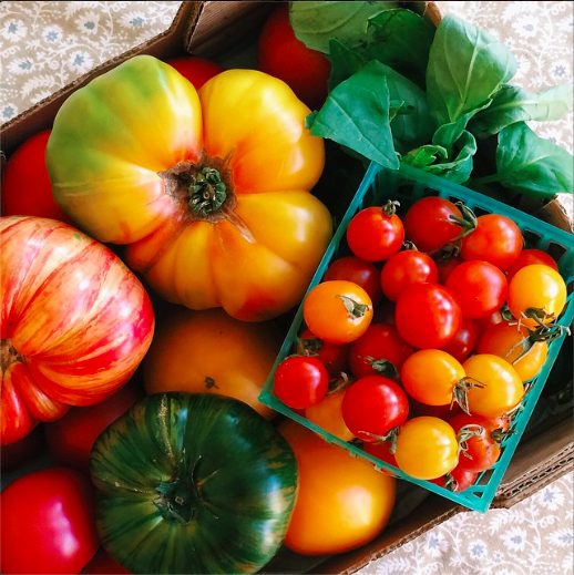 SC Buyers Club brings farm-fresh food to students. (Maral Tavitian/Neon Tommy)