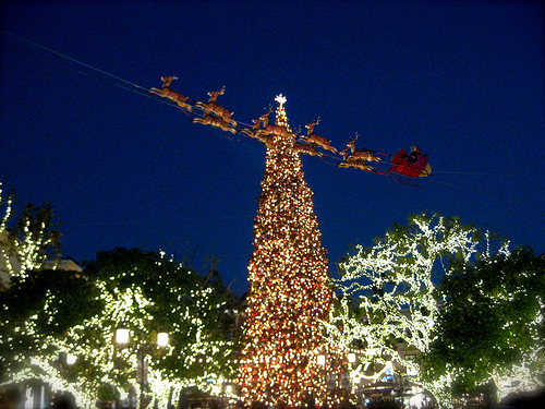 The Grove Christmas tree this year is one of the tallest, standing at 100-feet. (jamiey/Flickr)