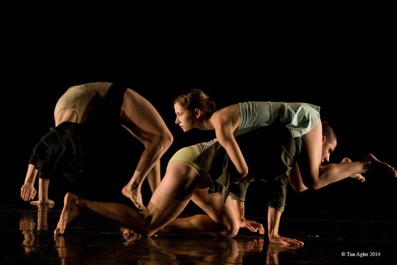 "EXHIBIT a" Ate9dANCEcOMPANY / Photo by Tim Agler