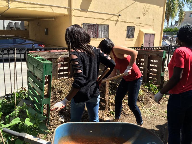 USC's urban garden digests its own waste. (Andre Gray/Neon Tommy)