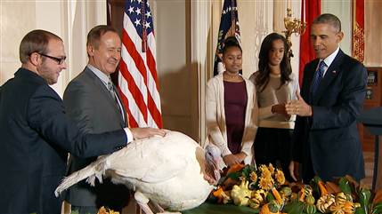 Malia Obama declined her father's offer to pet one of the turkeys. (TODAY/Creative Commons)