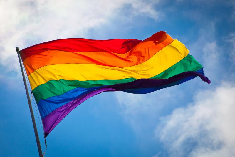 Marriage equality flag (Wikipedia).
