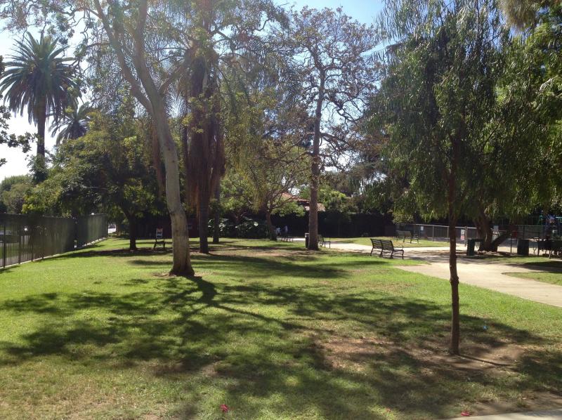 Burns Park on Beverly Boulevard showed few signs of drought. (David Hodari) Burns Park on Beverly Boulevard showed few signs of drought. (David Hodari)