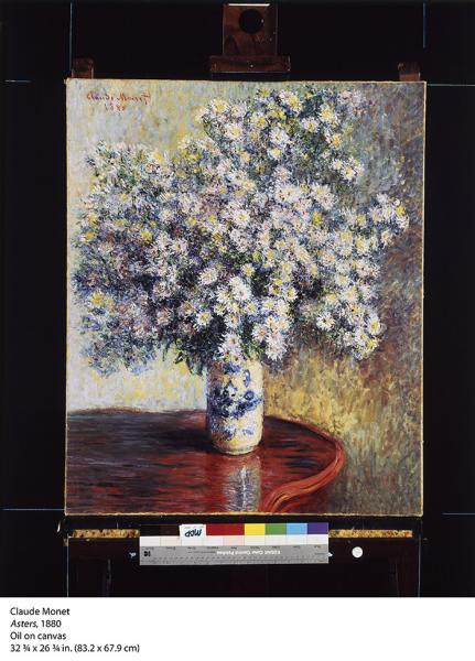 The grand still-life, Asters (1880) by Claude Monet(LACMA)