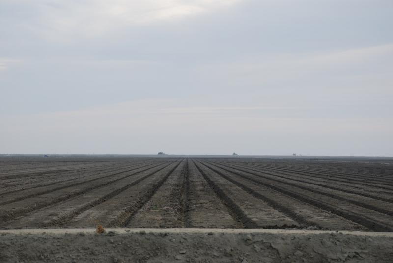 This grey lot of land stretches into the horizon directly across the street from the prison, where Manson lives. (Carrie Poppy/Neon Tommy)