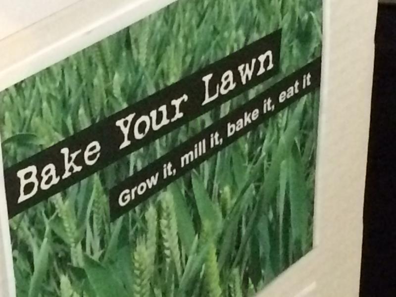 From seed to loaf. (Sara Tiano/Neon Tommy) From seed to loaf. (Sara Tiano/Neon Tommy)