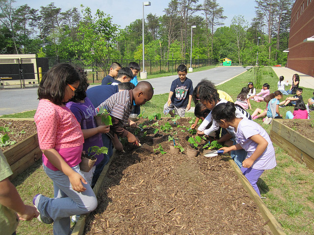 Kids getting up close and personal with plants in a school garden. (Creative Commons) Kids getting up close and personal with plants in a school garden. (Creative Commons)
