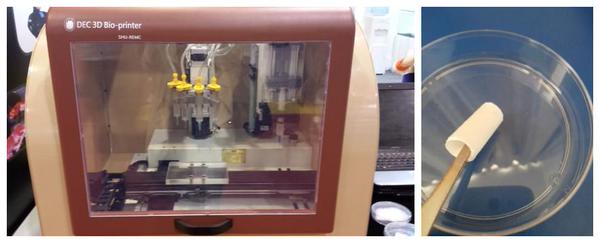 3D bioprinter (Twitter)