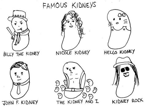 Illustration for National Kidney Month (theINSGrp / Twitter)