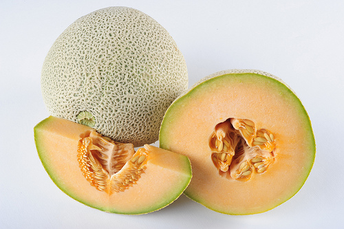 Cantaloupe are responsible for nearly 30 outbreaks and recalls since 1990, killing two people and sickening more than 1,200. The fruit's netted rind hides harmful pathogens like salmonella and E. coli, which can eventually penetrate the shell and infect the fleshy, nutrient-rich core. (Photo by Brandon Quester/News21) Cantaloupe are responsible for nearly 30 outbreaks and recalls since 1990, killing two people and sickening more than 1,200. The fruit's netted rind hides harmful pathogens like salmonella and E. coli, which can eventually penetrate the shell and infect the fleshy, nutrient-rich core. (Photo by Brandon Quester/News21)