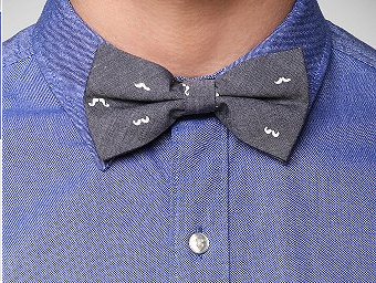 Mustache Bowtie (Urban Outfitters)