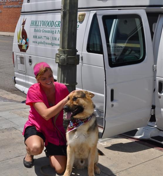 Hollywood Grooming helps the shelter by coming over once in a while to groom the dogs. Hollywood Grooming helps the shelter by coming over once in a while to groom the dogs.
