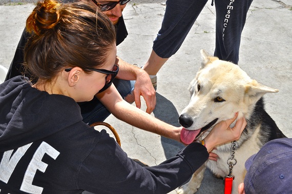 Aspen refused to go back to the shelter, so he got some love from the volunteers instead. Aspen refused to go back to the shelter, so he got some love from the volunteers instead.