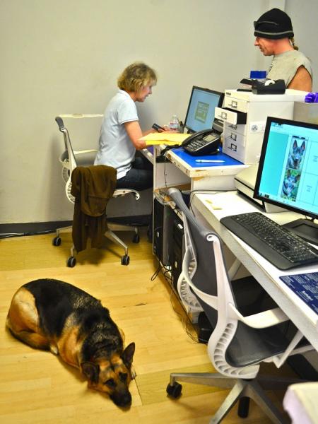The office at Westside -- donations are very gladly accepted, and you can always find one of their pups inside it. The office at Westside -- donations are very gladly accepted, and you can always find one of their pups inside it.