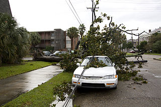 A fallen tree on Jackson Ave in New Orleans. (Wikimedia Commons) A fallen tree on Jackson Ave in New Orleans. (Wikimedia Commons)
