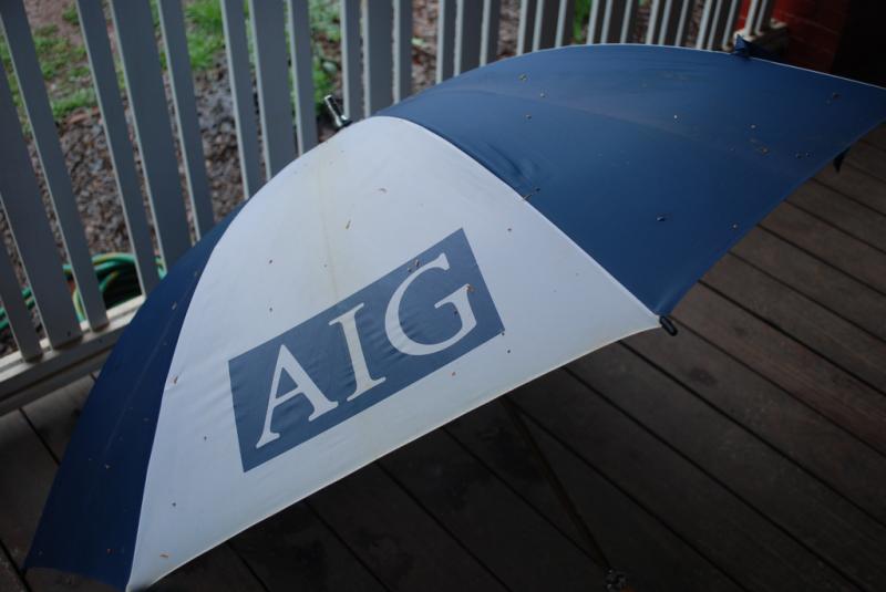 AIG is suing the government because of the onerous terms of its bailout...? (Mindy Georges, Creative Commons)