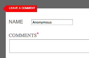 Too often, people leave anonymous comments on online publications. (Screenshot)