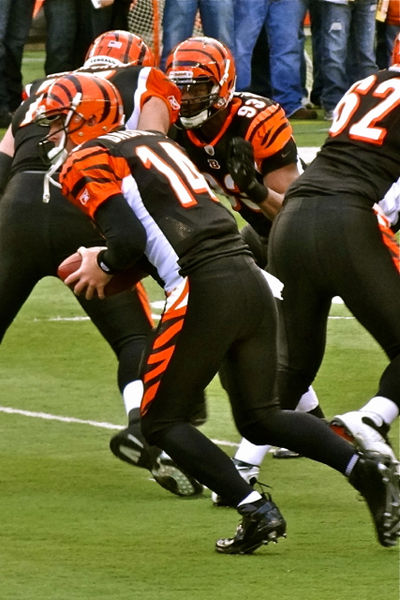 Andy Dalton doesn't need to do much besides not make mistakes because of the talented team surrounding him. (Melissa Batson/Wikimedia Commons)